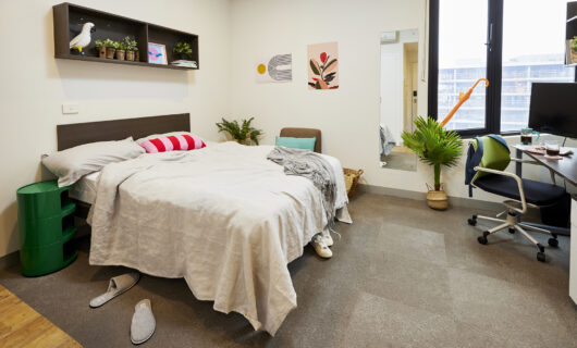 Medium
Studio Apartment