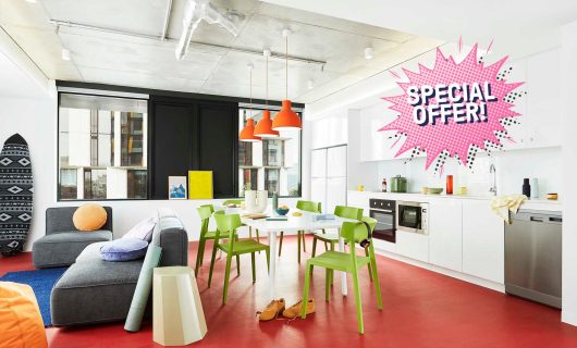 Shared Apartment