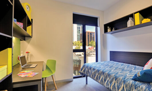 Shared Apartment