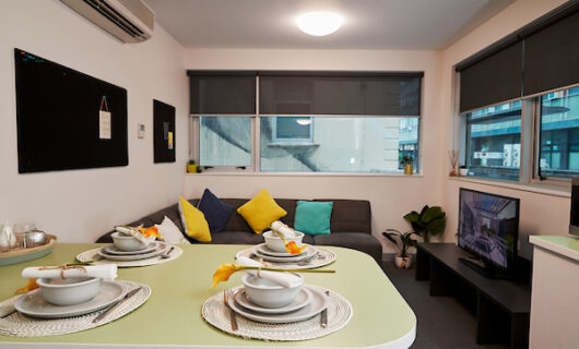 Shared Apartment