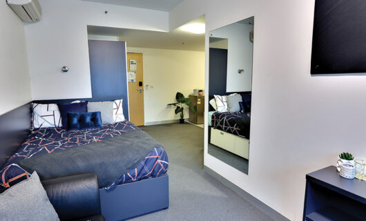 Large Studio Apartment