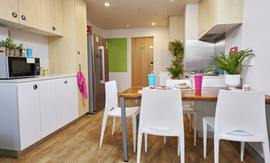 Shared Apartment