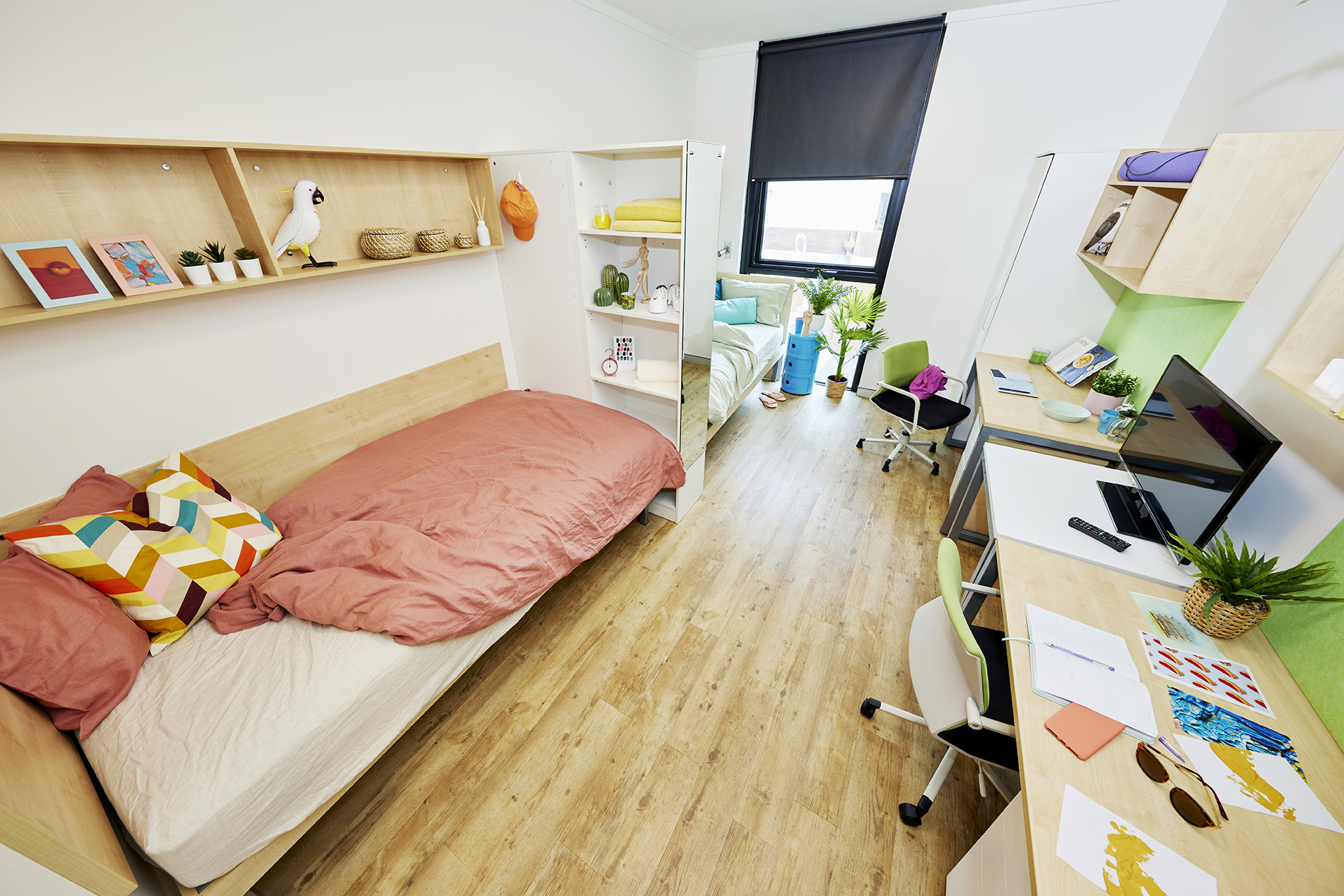Shared Apartments