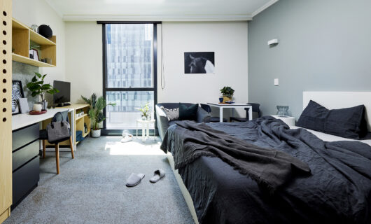 Large Studio Apartment