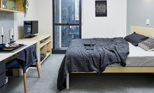 Medium Studio
Apartment
