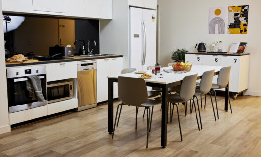 Shared Apartment