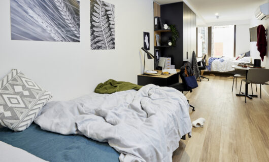 Large Twin Apartment