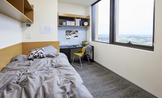 Shared Apartment
