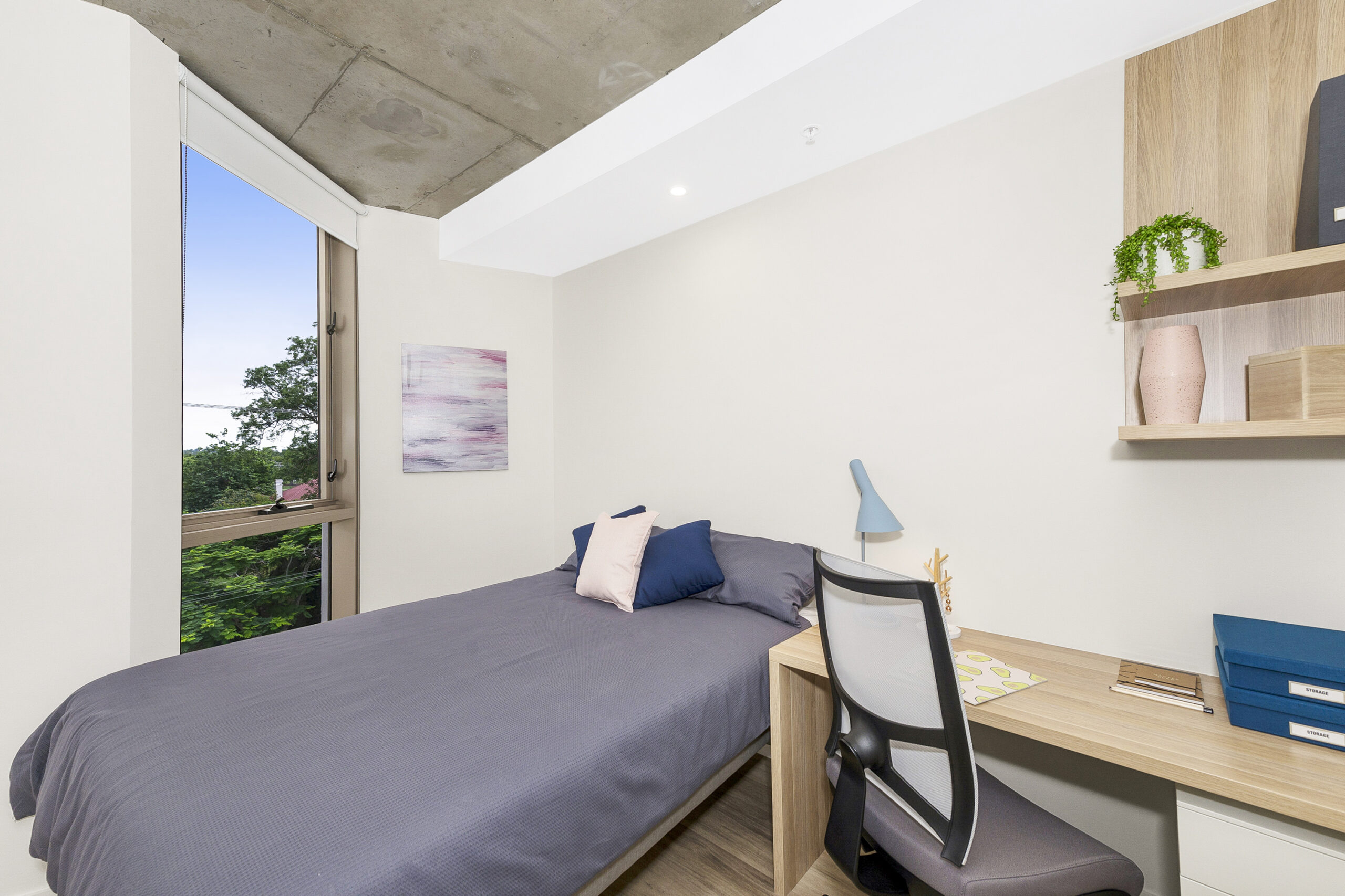 Studio Apartment for Students in St Lucia Brisbane Scape