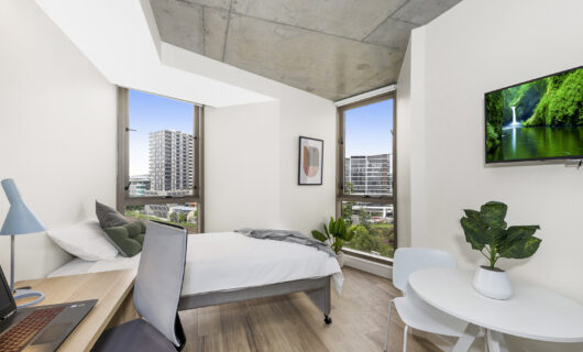 Medium Twin Apartment