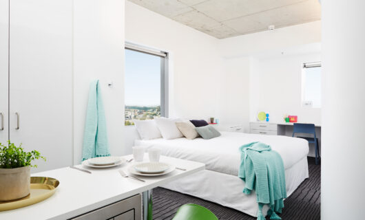 Large Studio Apartment