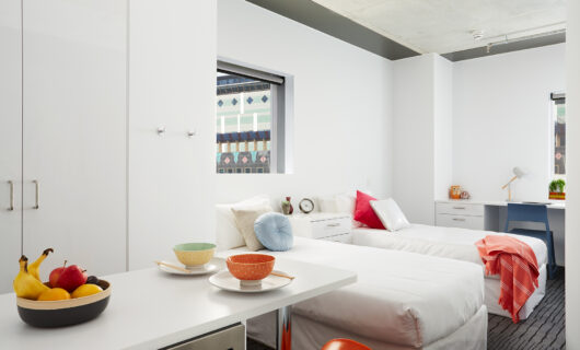 Large Twin Apartment