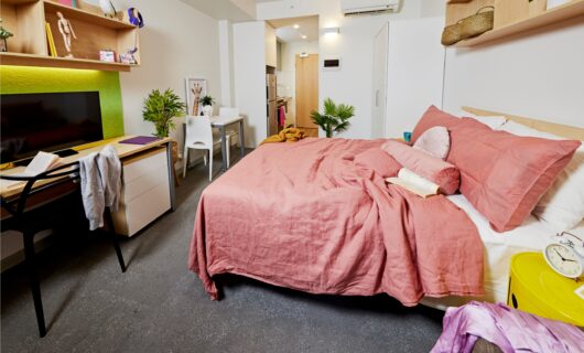 Large Studio Apartment