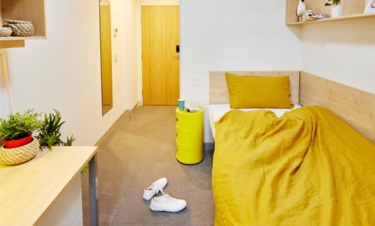 Shared Apartment