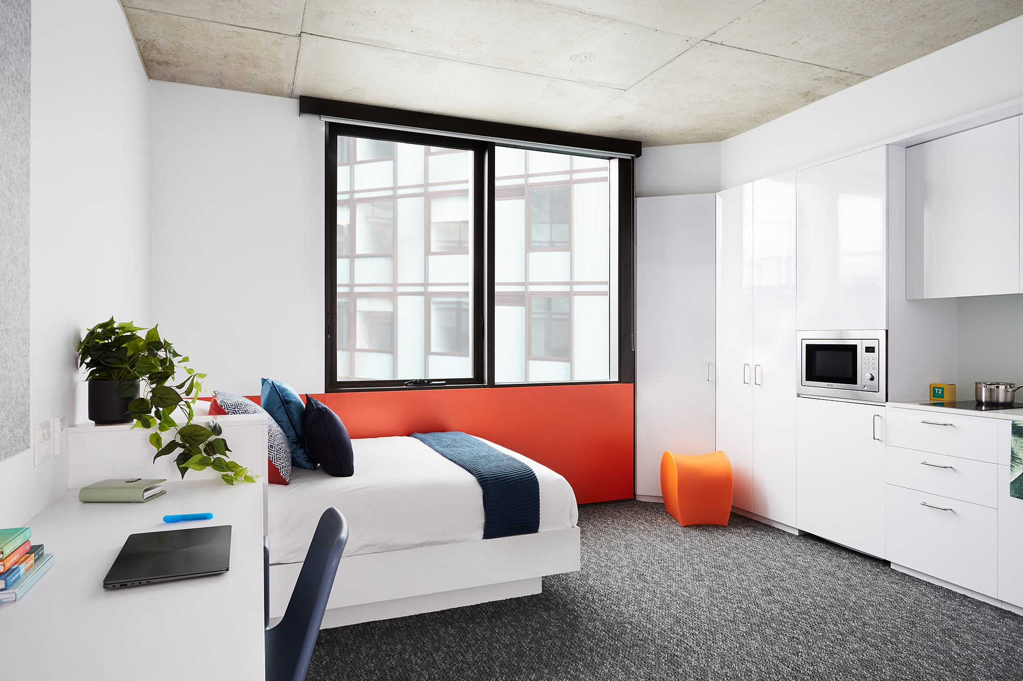 Large Studio Student Apartment in Toowong, Brisbane Scape
