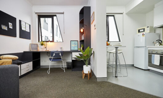 Large Studio Apartment