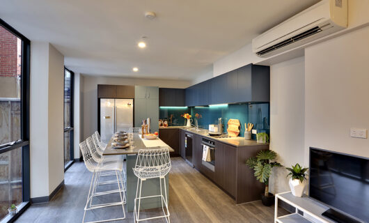 Shared Apartment