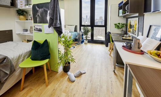 Large Twin Apartment