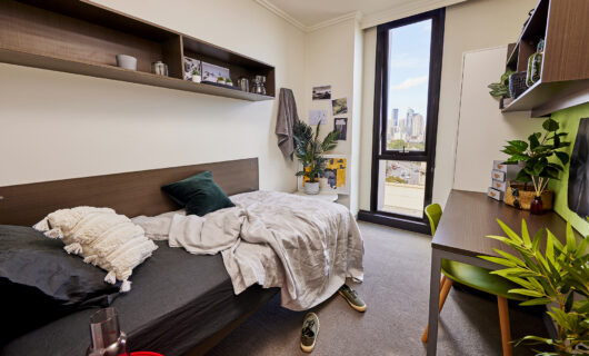 Shared
Apartment