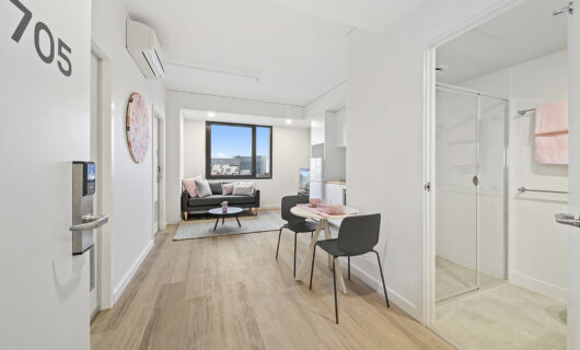 Shared Apartment