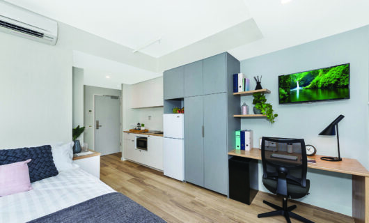 Large Studio Apartment