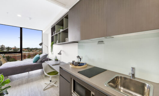 Large Studio Apartment