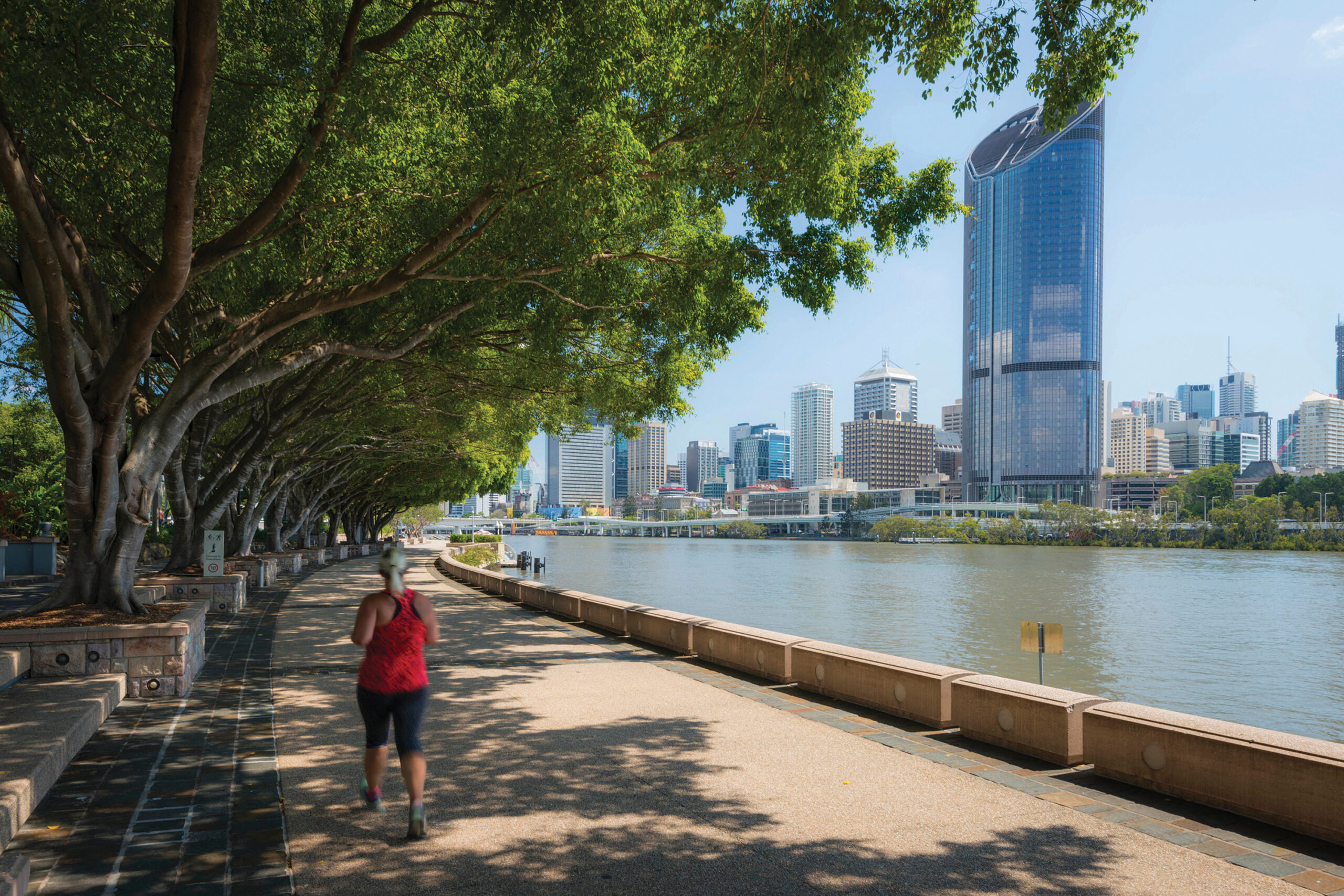 Why Scape Brisbane